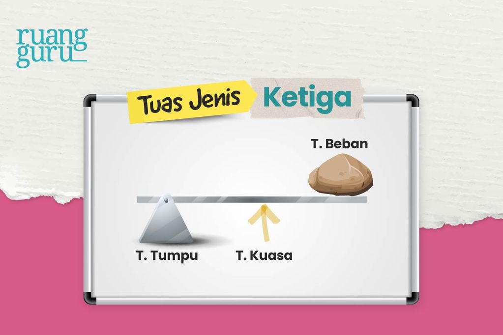 Mengenal 3 Jenis Tuas, Fungsi, Ciri-Ciri & Contohnya | Fisika Kelas 8